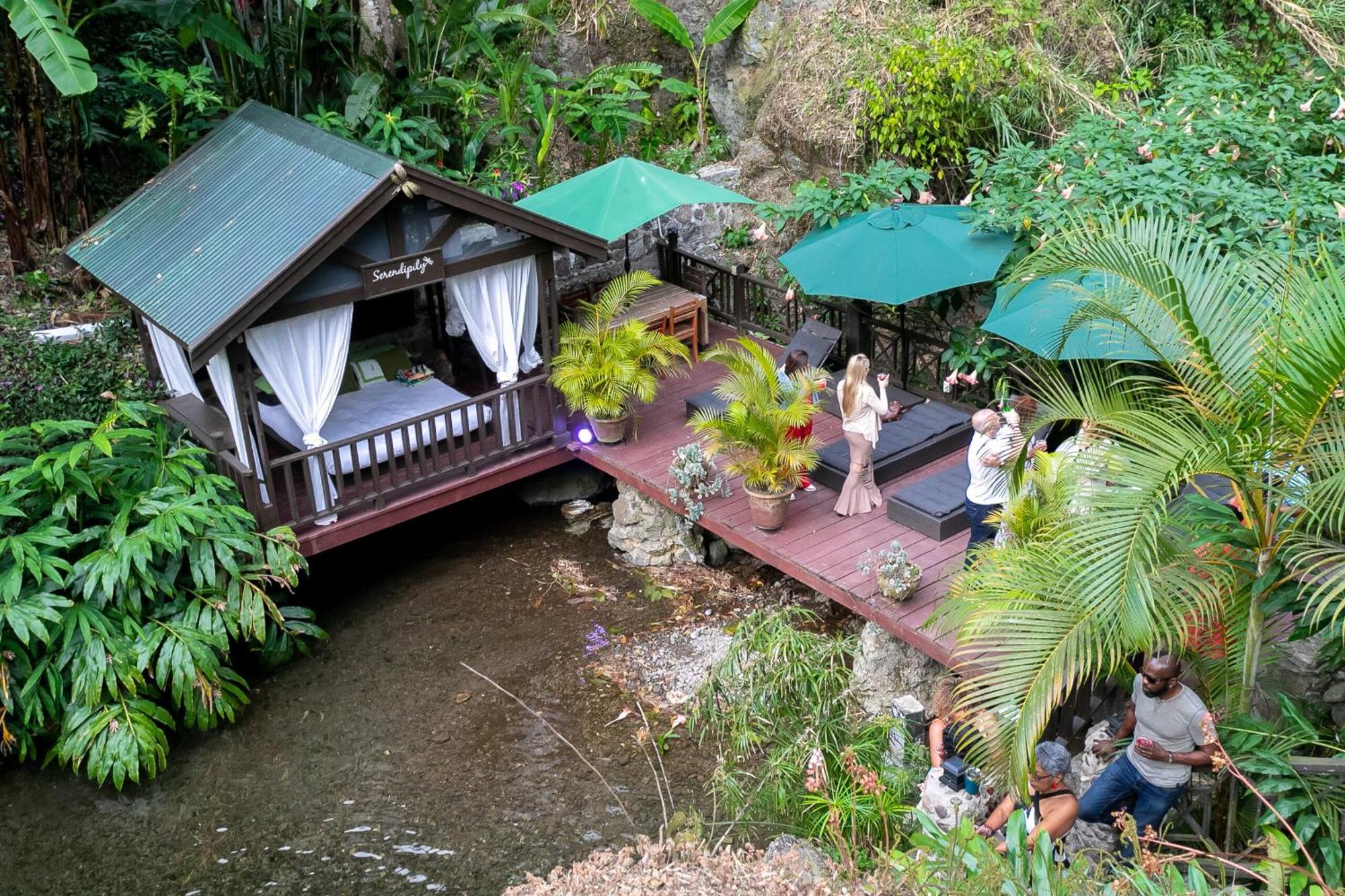 Serendipity Holistic Resort Spa Kingston Kültér fotó